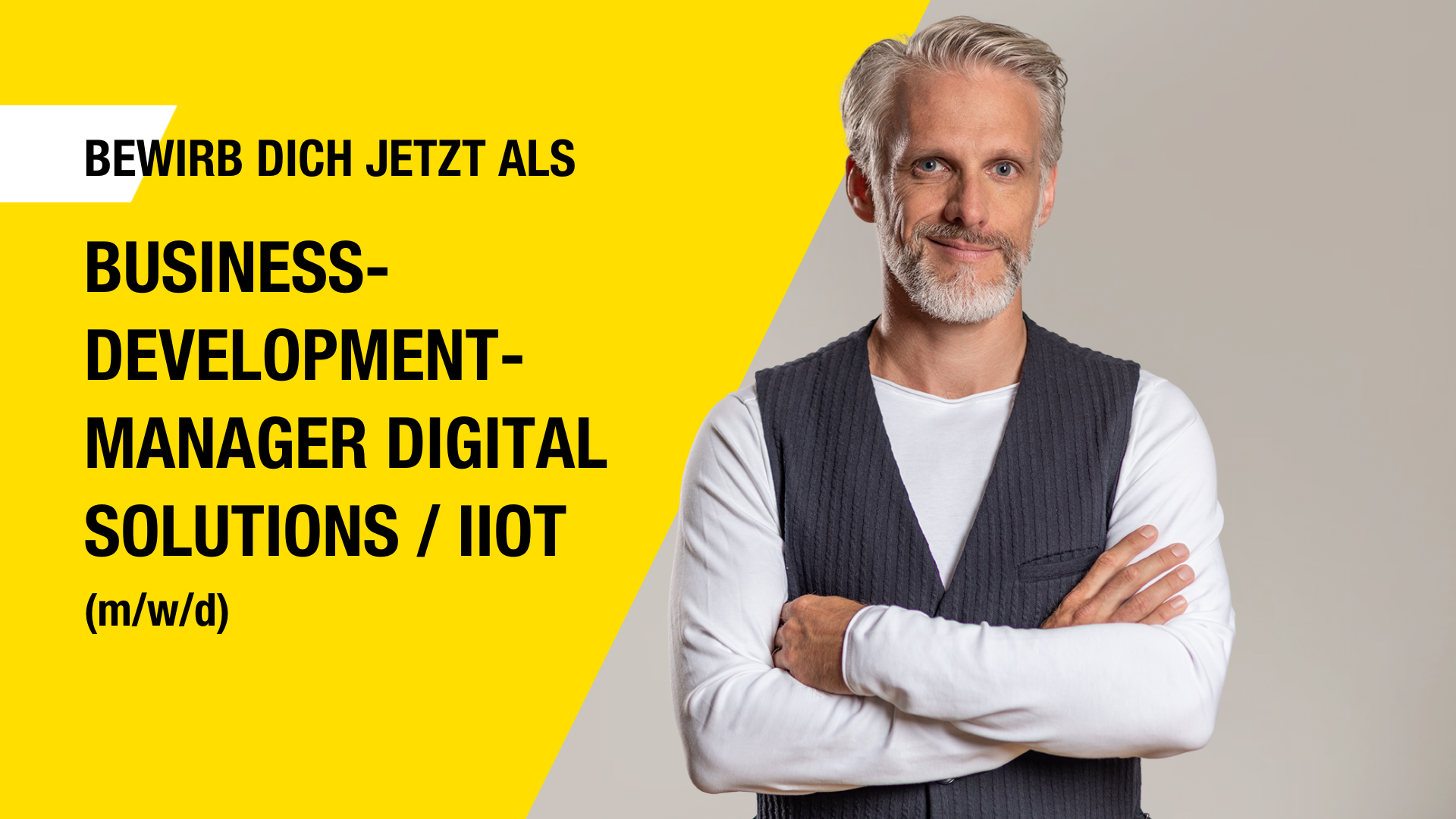 Business-Development-Manager Digital Solutions / IIoT (m/w/d)