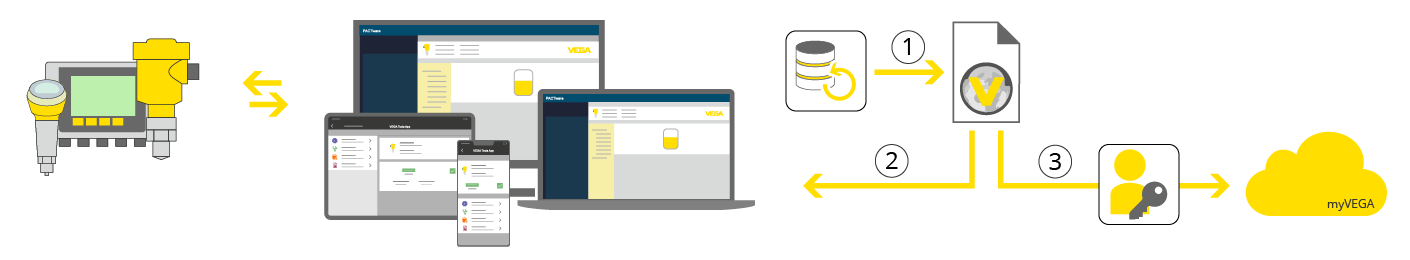 VEGA instrument adjustment backup